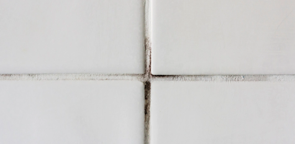 Tile and Grout Services