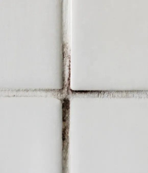 kitchen slider